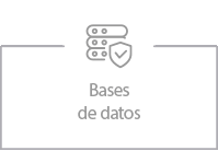 bases de datos