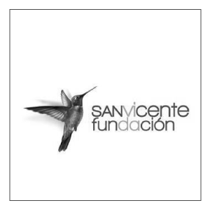 seccion-7-capacitacion-empresarial-icono-san-vicente-fundacion-300x300-cedesistemas