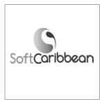 seccion-7-capacitacion-empresarial-icono-softcaribeean-300x300-cedesistemas
