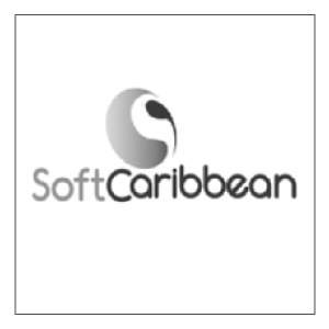seccion-7-capacitacion-empresarial-icono-softcaribeean-300x300-cedesistemas